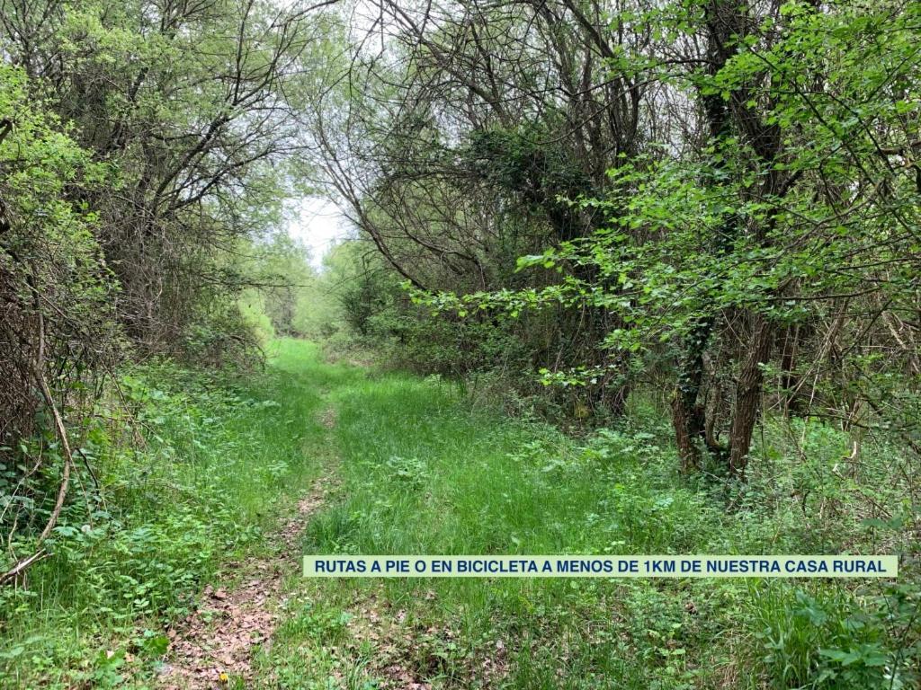 Ibeas de JuarrosLa Cabala De Ibeas住宿加早餐旅馆 外观 照片